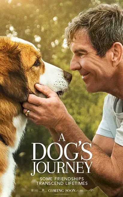 A Dog's Journey (2019) Poster