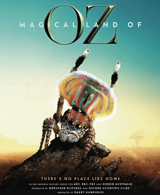 Magical Land of Oz TV Series (2019) Poster