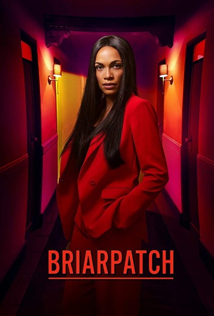 Briarpatch TV Series (2020) Poster
