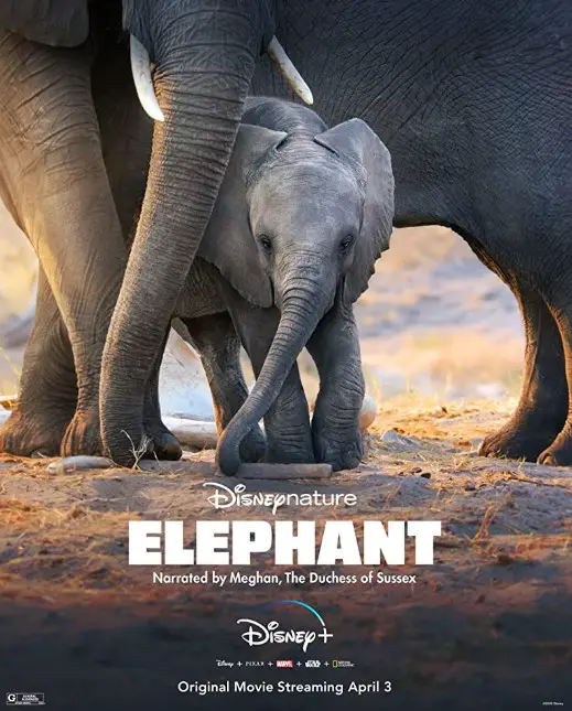 Elephant (2020) Poster