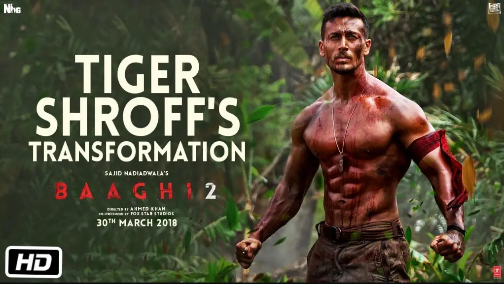 Baaghi 2 Cast, Reviews, Release date, Story, Budget, Box office, Scenes, Song
