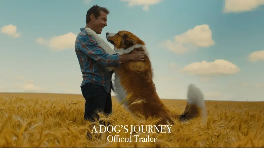 A Dog’s Journey | Cast, Budget, Box office | And Everything You Need to Know