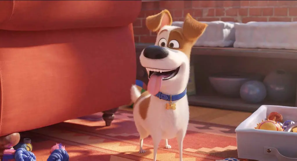 The Secret Life of Pets 2 (2019) | Cast, Budget, Box office | And Everything You Need to Know