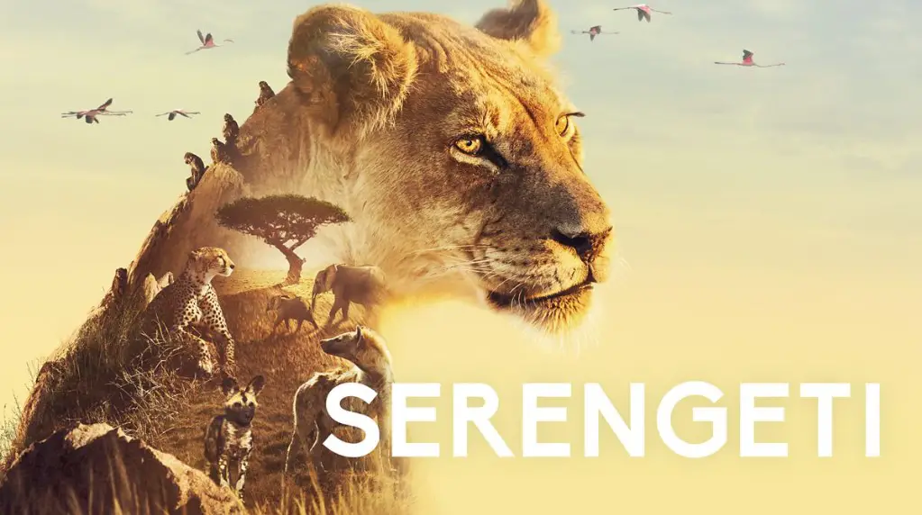 Serengeti TV Series (2019) | Cast, Episodes | And Everything You Need to Know