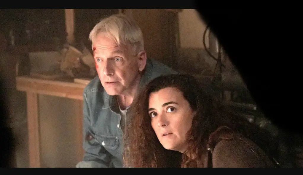 NCIS Season 21 Episode 5 | Cast, Release Date | And Everything You Need to Know