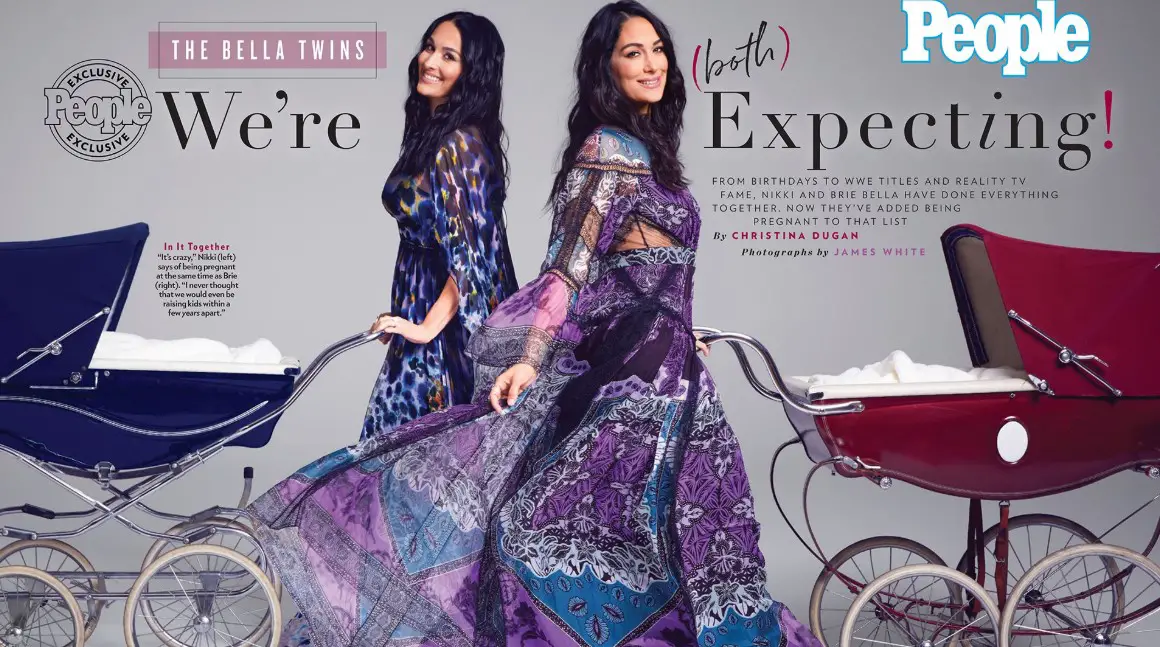 Nikki and Brie Bella Are Both Pregnant | Reported by People Magazine