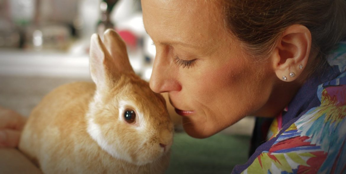 Dr. K's Exotic Animal ER Season 9 | Cast, Episodes | And Everything You Need to Know