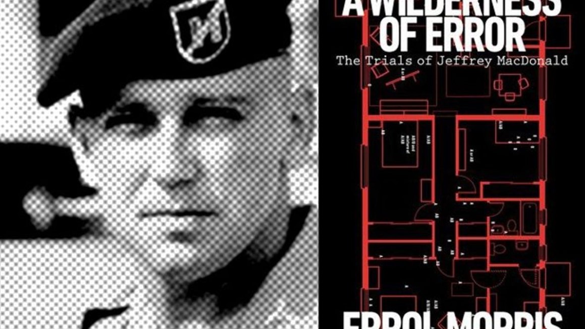 A Wilderness of Error TV Series (2020)