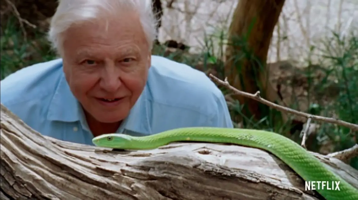 David Attenborough: A Life on Our Planet (2020) Cast, Release Date, Plot, Trailer