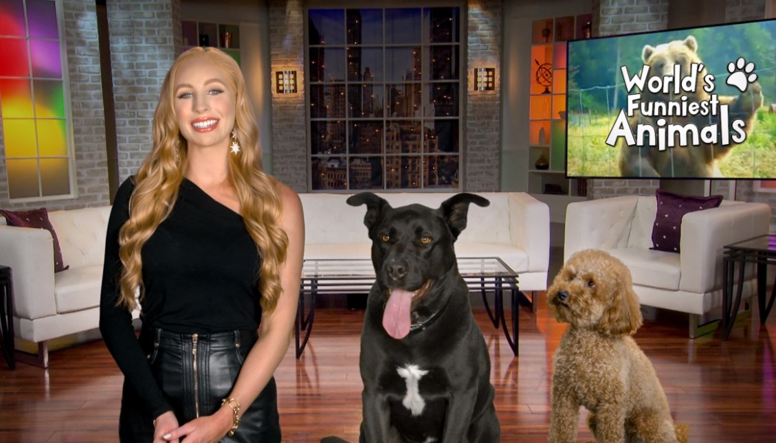 World's Funniest Animals (2020) Cast, Release Date, Plot, Episodes, Trailer