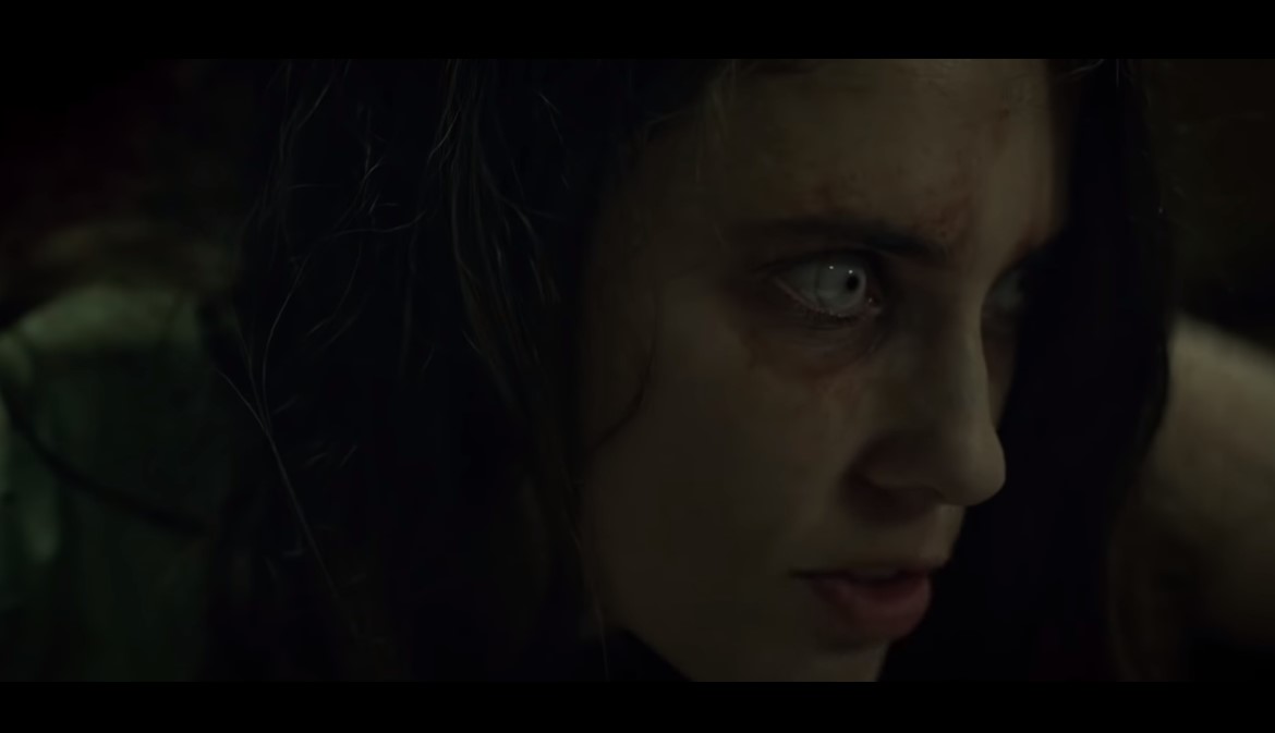 The Cleansing Hour (2020) Cast, Release Date, Plot, Budget, Box office, Trailer