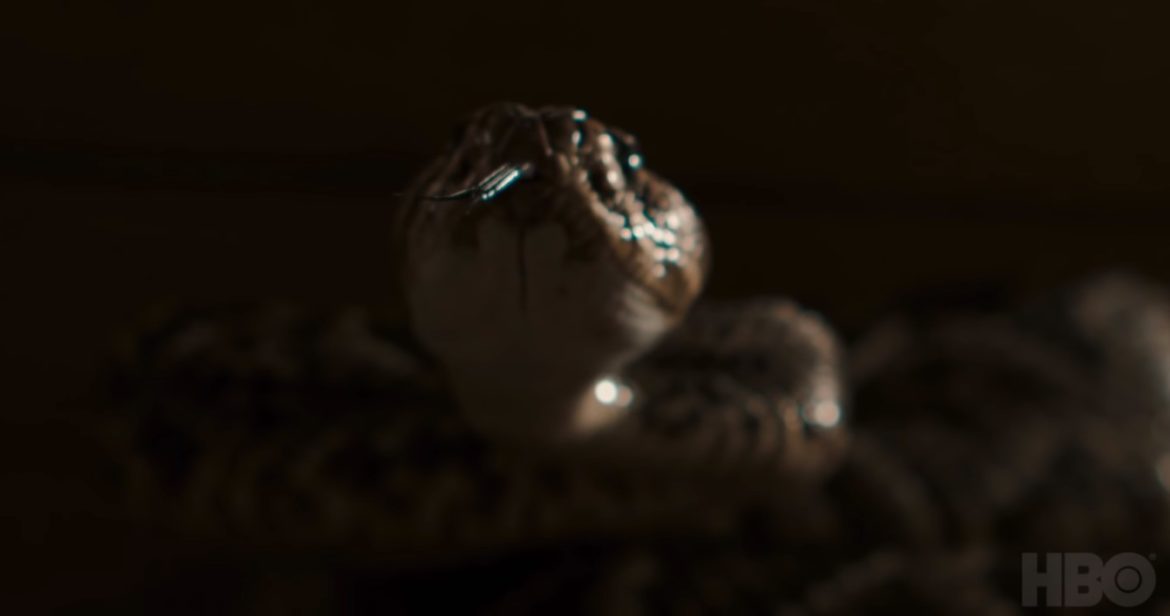 Alabama Snake (2020) Cast, Release Date, Plot, Trailer