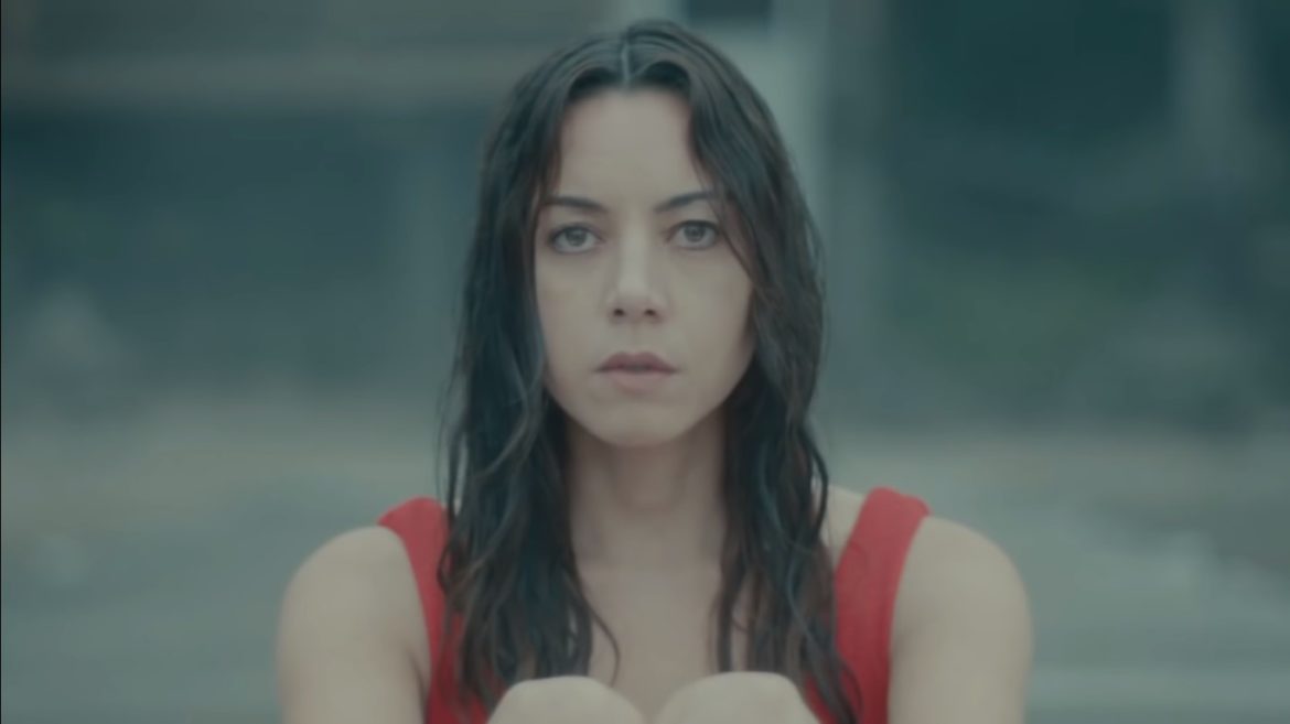 Black Bear (2020) Cast, Release Date, Plot, Budget, Box office, Trailer