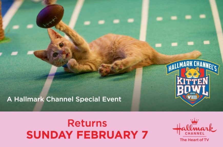 Kitten Bowl VIII (2021) Cast, Release Date, Plot, Trailer