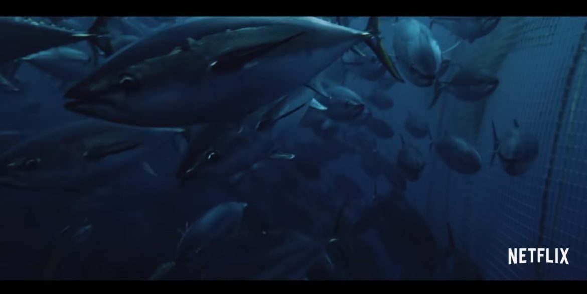 Seaspiracy (2021) Cast, Release Date, Plot, Trailer