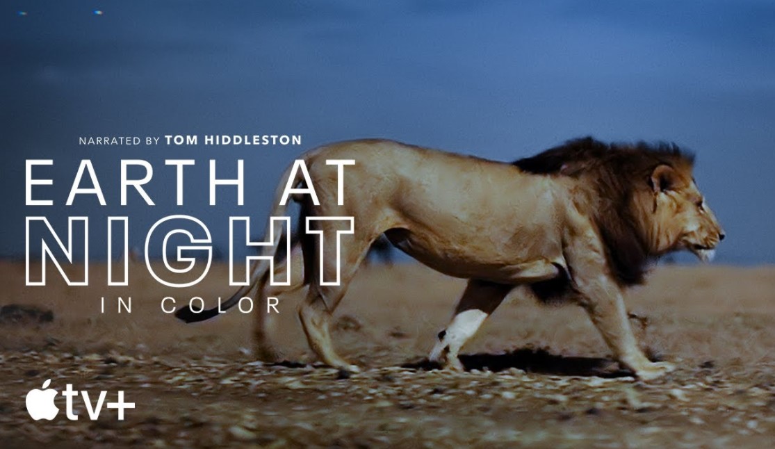 Earth at Night in Color Season 2 | Cast, Episodes | And Everything You Need to Know