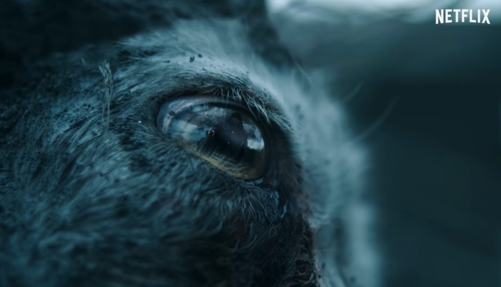 Katla TV Series (2021) Cast, Episodes And Everything