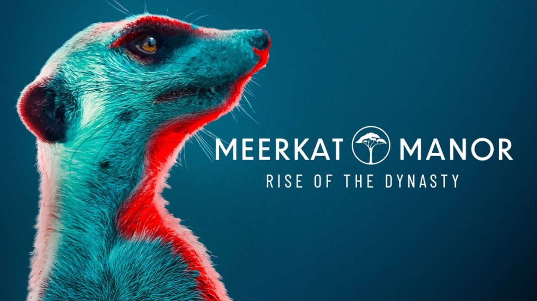 Meerkat Manor: Rise of the Dynasty (2021) Cast, Release Date, Plot, Trailer