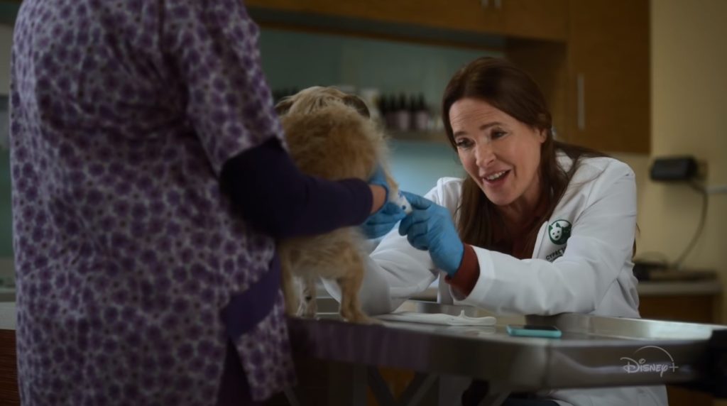 Turner &amp; Hooch TV Series (2021) Cast, Episodes And