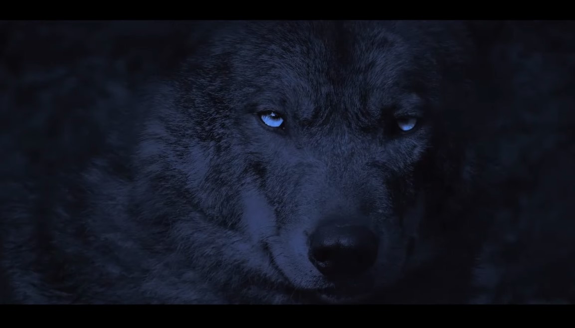 Misha and the Wolves (2021) Cast, Release Date, Plot, Trailer