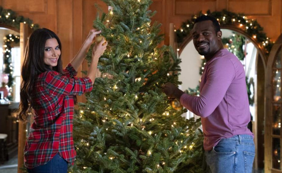 An Ice Wine Christmas (2021) Cast, Release Date, Plot, Trailer