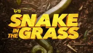 Snake in the Grass TV Series (2022) | Cast, Episodes | And Everything You Need to Know