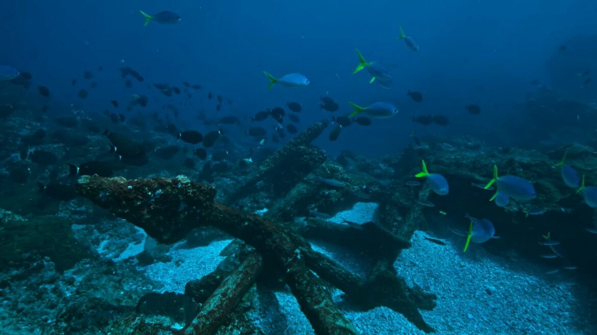 Shipwreck Hunters Australia TV Series (2022) | Cast, Episodes | And Everything You Need to Know