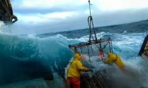 Deadliest Catch Season 19 | Cast, Episodes | And Everything You Need to Know
