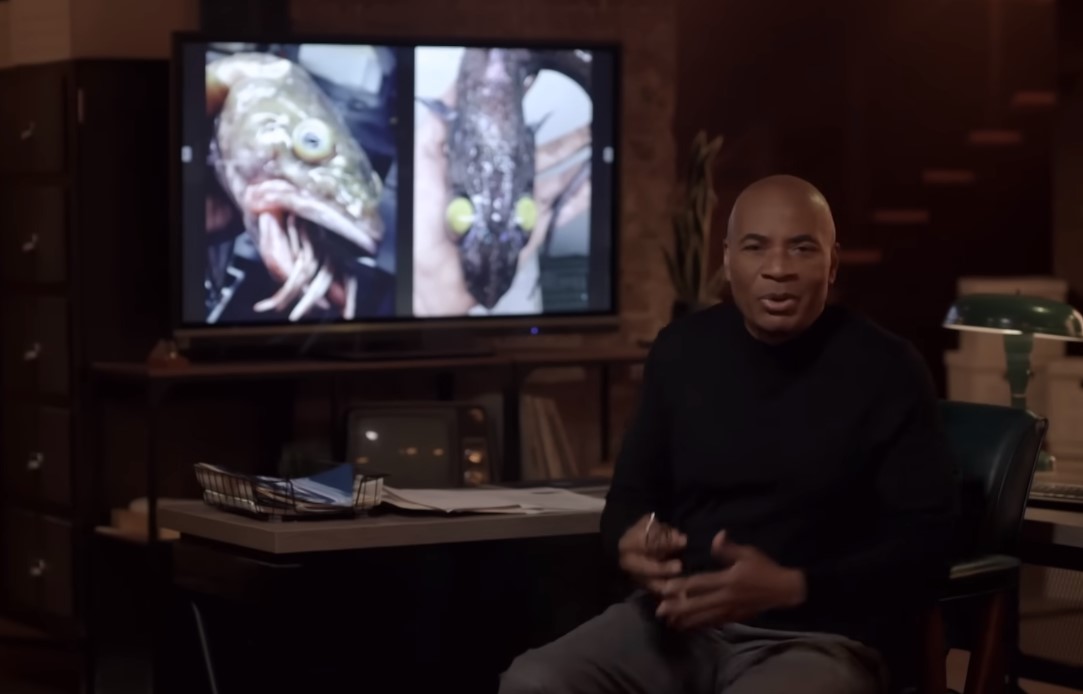 The Proof Is Out There Season 4 | Cast, Episodes | And Everything You Need to Know