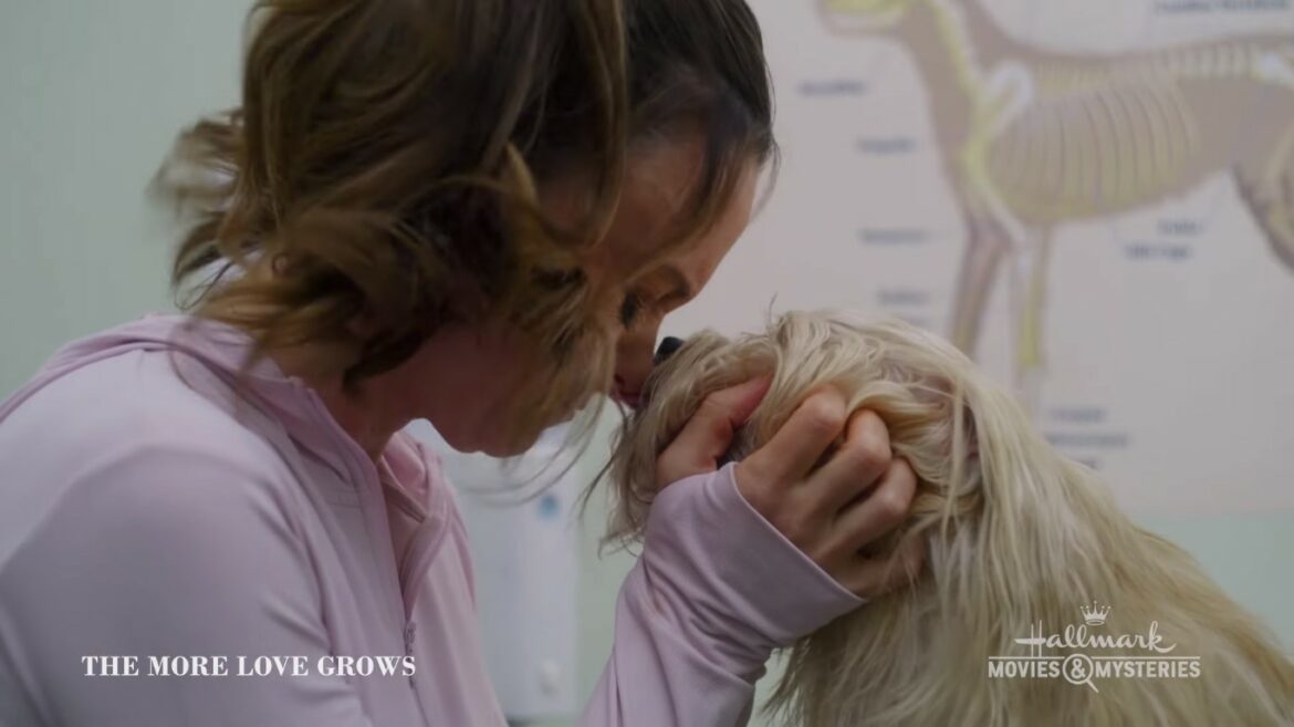 The More Love Grows (2023) Cast, Release Date, Plot, Trailer