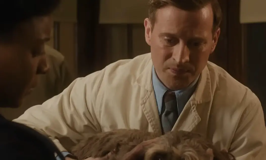 All Creatures Great & Small Season 6: Release Date, Cast & Storyline Explained