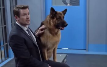 Hudson & Rex Season 8 Cast: Meet All the Actors and Characters