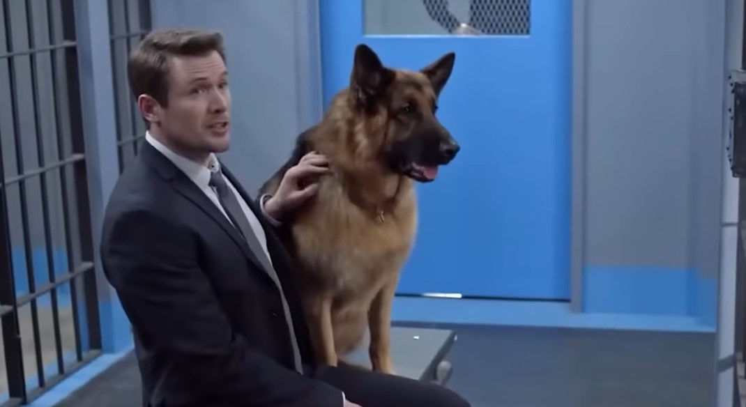 Hudson & Rex Season 8 Cast: Meet All the Actors and Characters